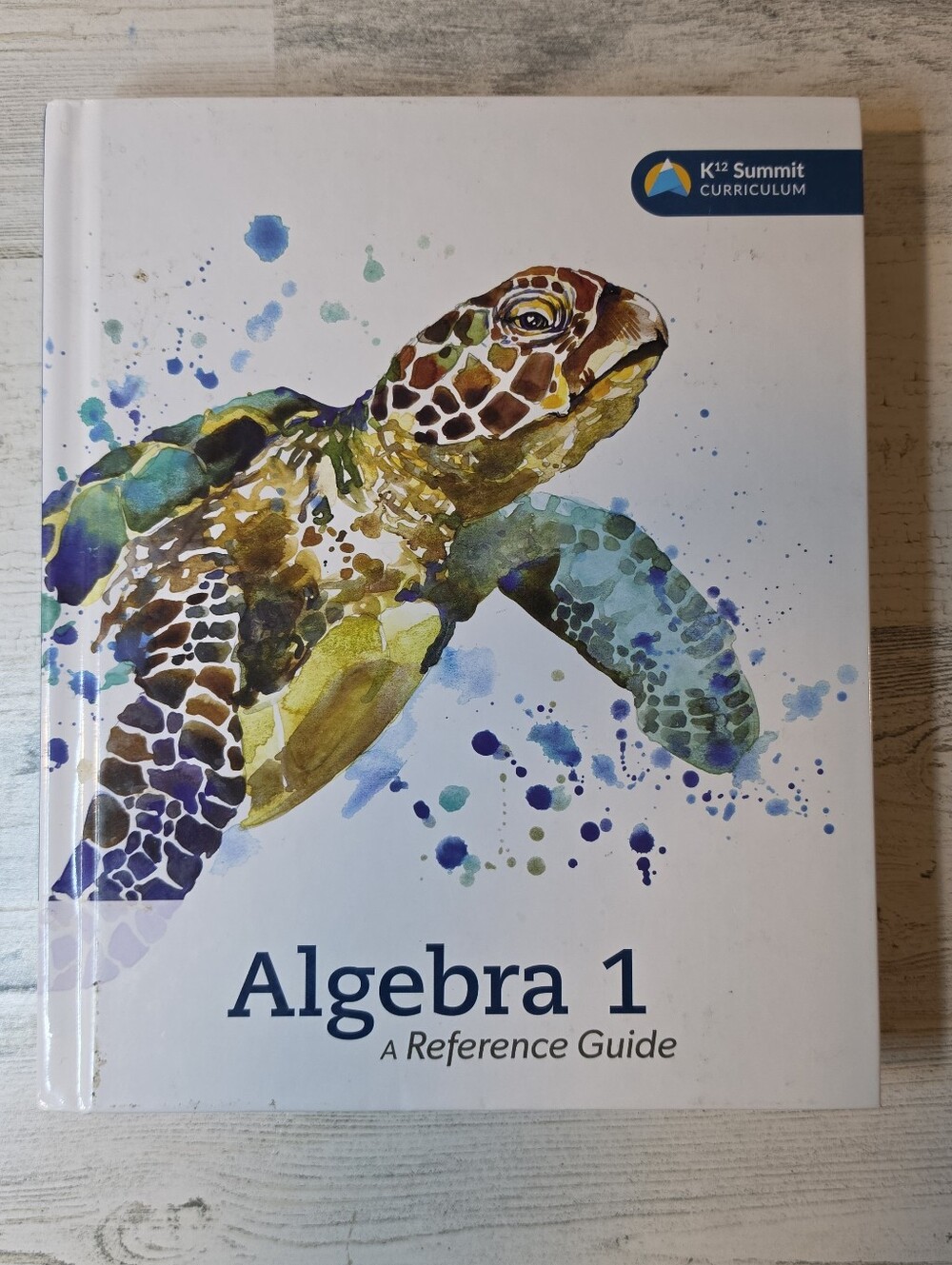 K12 Summit Curriculum Algebra 1 A Reference Guide Hardcover 2016